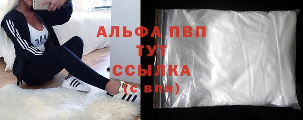 стаф Баксан